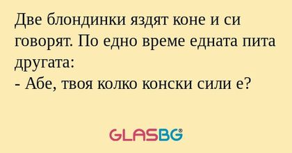 Две блондинки яздят коне и си говорят...
