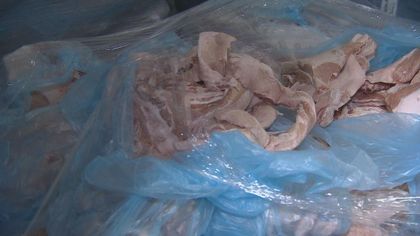 Има ли опасност листериоза от България?