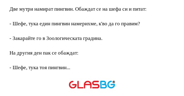 Две мутри намират пингвин. Обаждат...