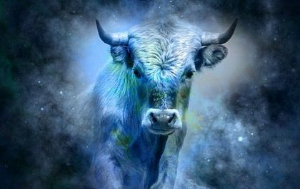 Eто защо Телците са най-верните приятели...