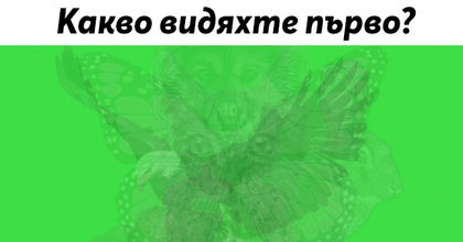 Животното, което видиш първо, разкрива много за характера ти