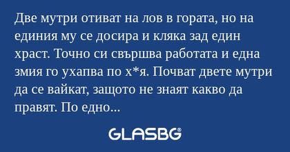 Две мутри отиват на лов в гората...