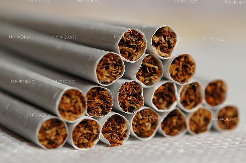 МВР: Нелегалната търговия с цигари остава на ниско ниво и през 3-то тримесечие на годината – около 5%