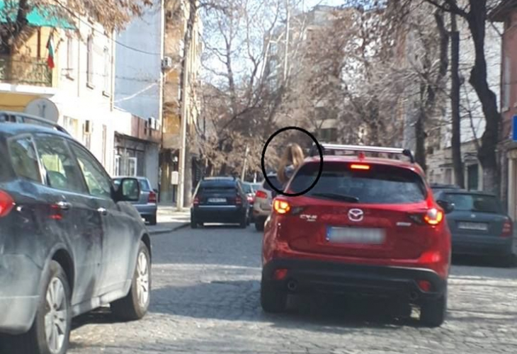 Безотговорна шофьорка застраши живота на малко момиченце