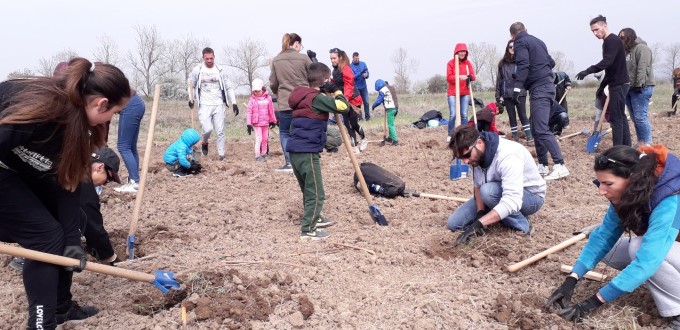 Започна засаждането на Новата гора на София
