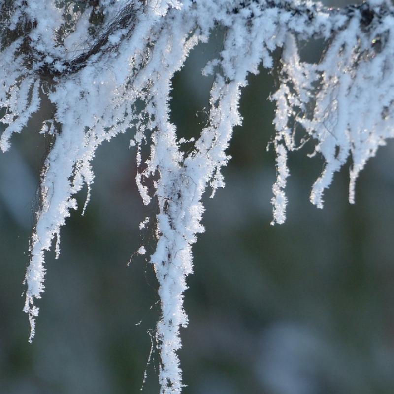 НИМХ: Максималните температури ще са между 4° и 9°, вятърът ще се ориентира от юг и ще е предимно слаб