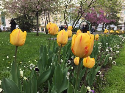 Времето започва да се оправя