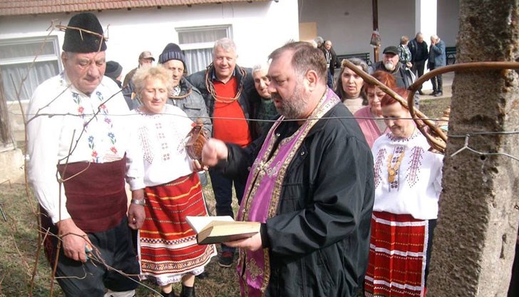 В село Борисово зарязаха лозите за берекет