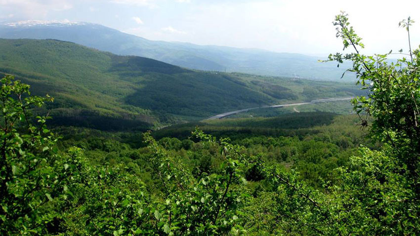 The court cut off environmentalists contesting the construction of a forest park next to the Rowing Base in Plovdiv