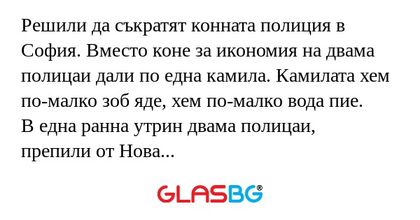 Решили да съкратят конната полиция...