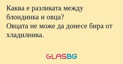 Каква е разликата между блондинка...