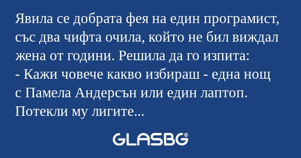 Явила се добрата фея на един програмист...
