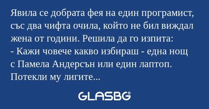 Явила се добрата фея на един програмист...