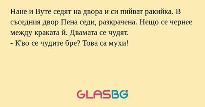 Нане и Вуте седят на двора и си...