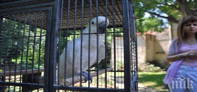 Международна комисия проверява зоопарковете в Димитровград и Хасково