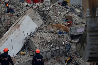 Загиналите при срутването на блока в Истанбул вече са 21