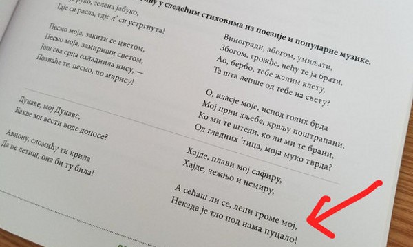 В Сърбия: Текст на песен на Цеца – в учебник!