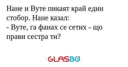 Нане и Вуте пикаят край един стобор...