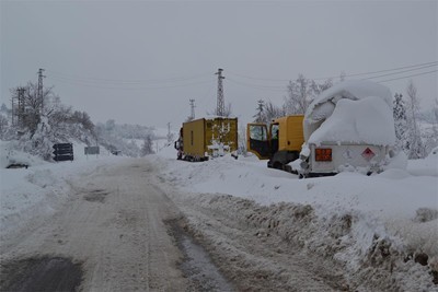 ТИР се заби в пряспа и затвори пътя Добрич - Ген.Тошево