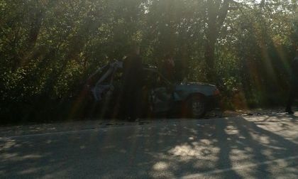 Водачът на