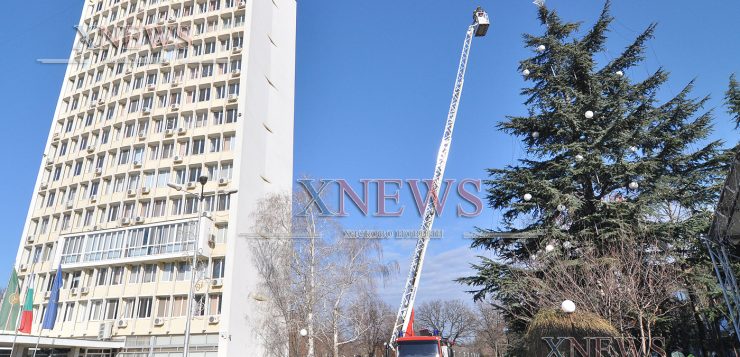 Коледната елха в Димитровград най-високата в страната