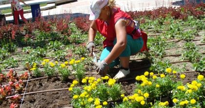Започва пролетно засаждане на дървета и храсти във Варна