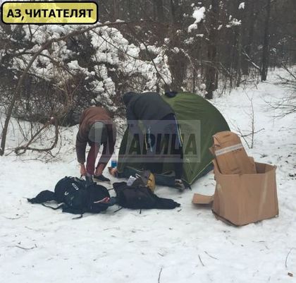СНИМКИ: Моржове разпънаха палатка на Лаута
