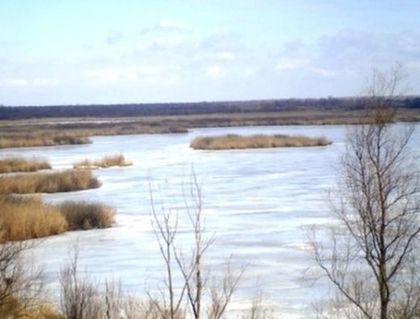 Зимна приказка! Езерото на резервата "Сребърна" замръзна