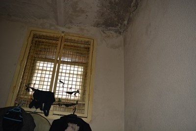 Вижте килията на Иванчева, Манолова с препоръка до Цачева заради нея