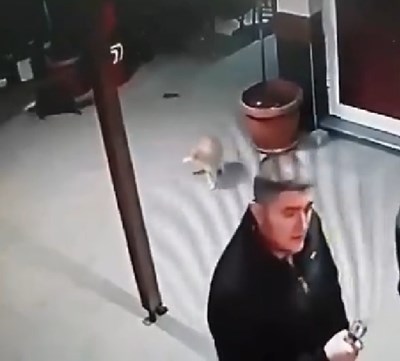 Мъж удря бременна котка в земята и я рита пред магазин в Радомир (Видео)