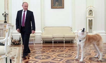 Путин е готов за среща с Тръмп във всеки момент