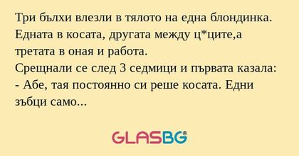 Три бълхи влезли в тялото на една...
