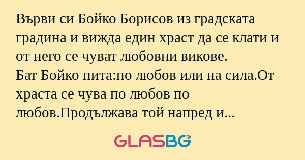 Върви си Бойко Борисов из градската...