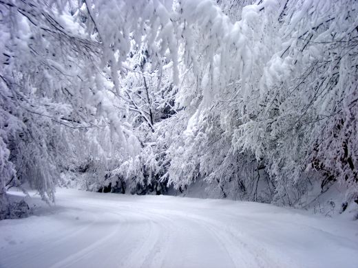 Вадете якетата, студът се връща!