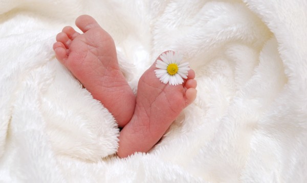 Спасиха най-малкото бебе в света, Сейби се е родила само 245 гр