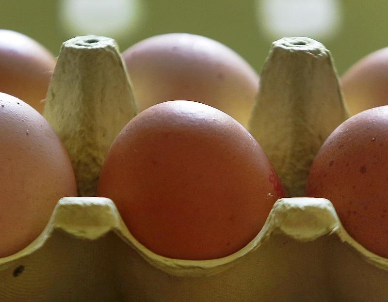 Откриха 215 000 хиляди яйца с фипронил в пловдивски магазини