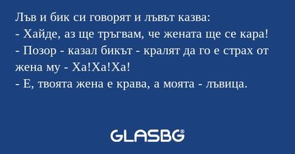 Лъв и бик си говорят и лъвът казва...