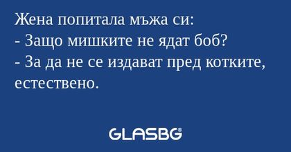 Жена попитала мъжа си: - Защо мишките...