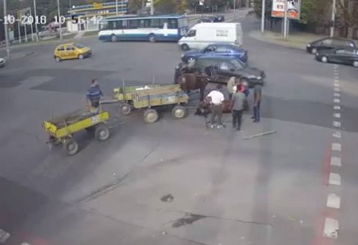 Шокиращо ВИДЕО с коне и две каруци, които връхлитат в галоп кола на голямо кръстовище в Хасково