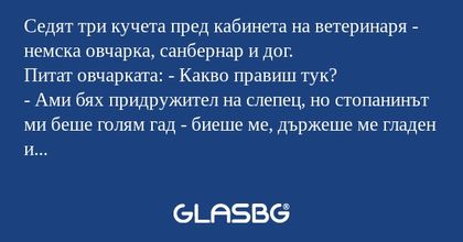 Седят три кучета пред кабинета...