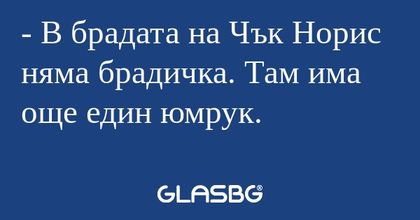 В брадата на Чък Норис няма брадичка...