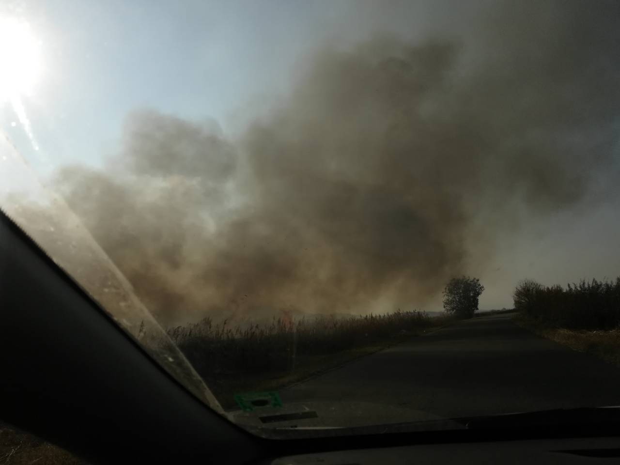СНИМКИ: Пожар избухна край пътя между Прослав и Златитрап, облаци дим се стелят над шосето