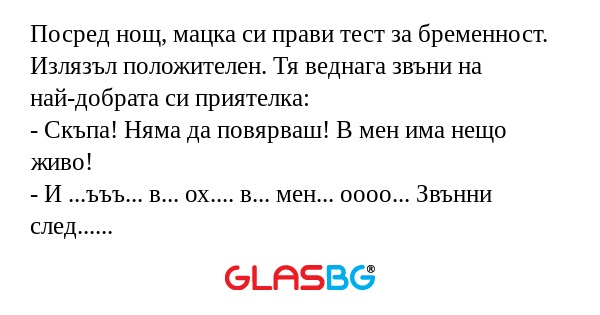 Посред нощ, мацка си прави тест...