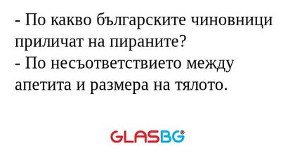 По какво българските чиновници...