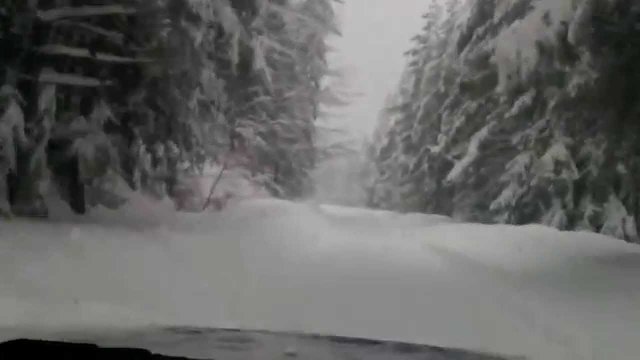 50 см сняг! Не тръгвайте към хижа "Здравец", особено без вериги и пълен резервоар