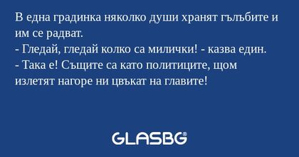 В една градинка няколко души хранят...
