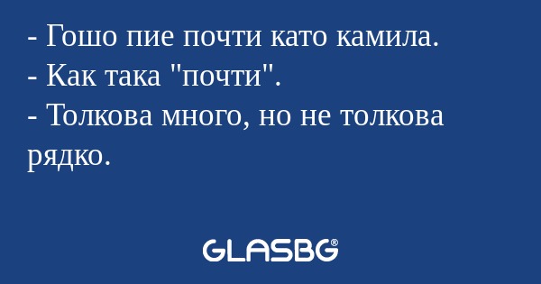 Гошо пие почти като камила...
