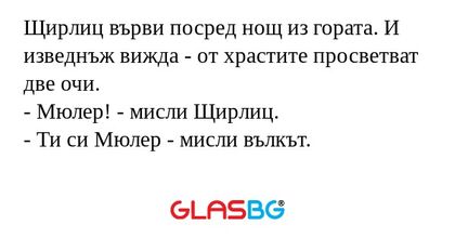 Щирлиц върви посред нощ из гората...