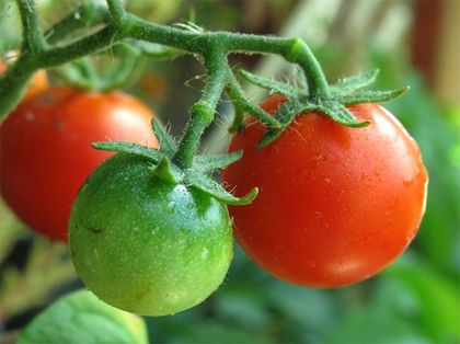 6 задължителни продукта за жени