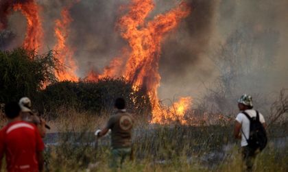 Над 20 000 души се борят с горските пожари в Чили